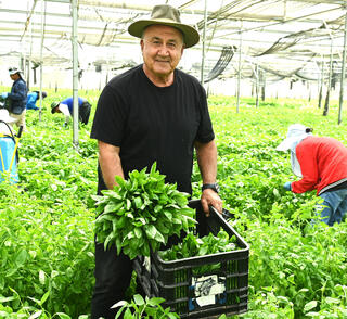 איציק רוזנברג - משק רוזנברג עין תמר מוסף