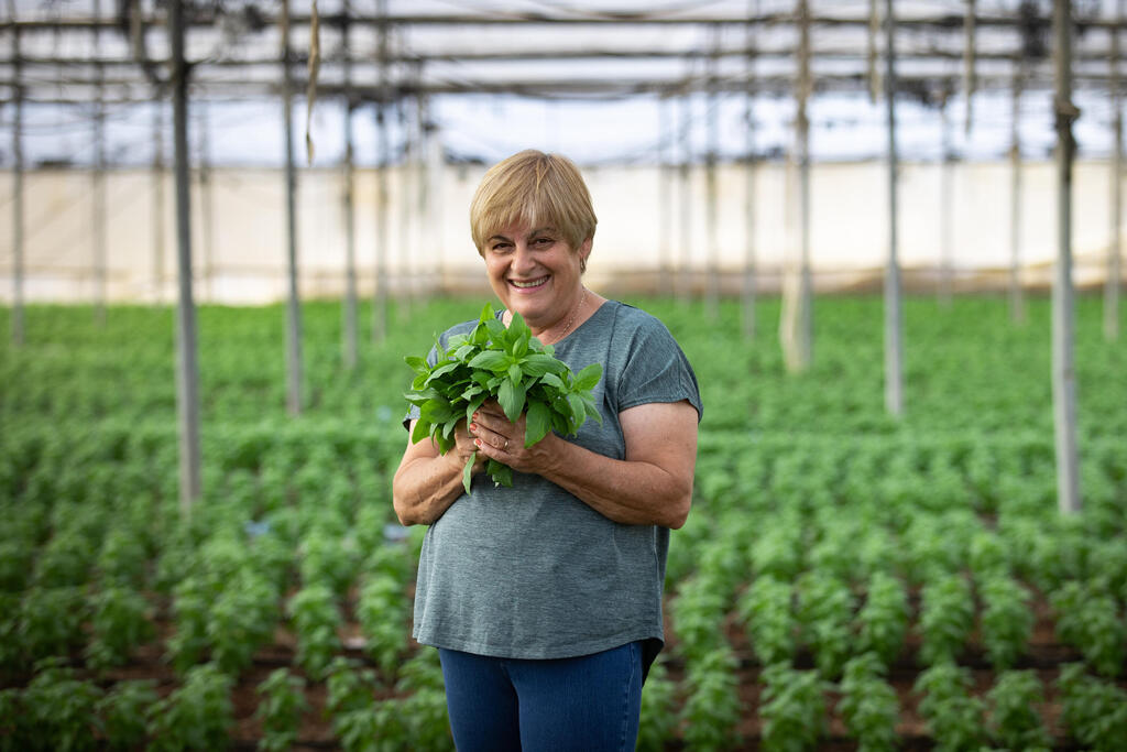 אנה מלר מ משק מלר ב מושב נעמה ש בבקעה מגדלת בזיליקום חקלאית חקלאות חממה עם שתילי בזיליקום