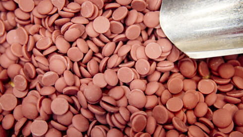 צילום: בלומברג ברקע הצניחה במחירי הקקאו: ענקית השוקולד השווייצרית פרסמה אזהרת רווח