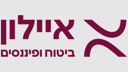 מצוינות בשירות כאסטרטגיה חוצת חברה