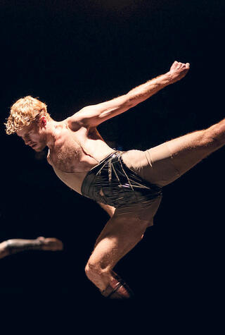 שיר אחד: אחד מי יודע – נקמת הטרקטור ואוהד נהרין פנאי