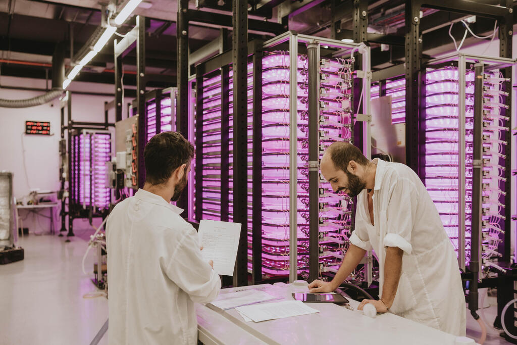 חוה קוואנטית של GreenOnyx 