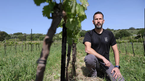 הלוחם שנפצע במלחמת לבנון השנייה - ופיתח שיטה לטיפול בפוסט טראומה דרך יין