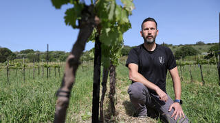 פנאי תומר וינברג עמותת טרה אומה מסייעת ללוחמים וללוחמות המתמודדים עם פוסט טראומה לחזור למסלול חיים עושים יין