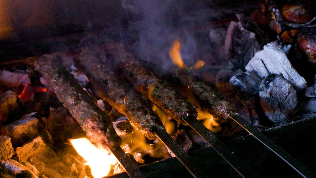 פנאי מדור 5 הכי שיפודיות אולגה 