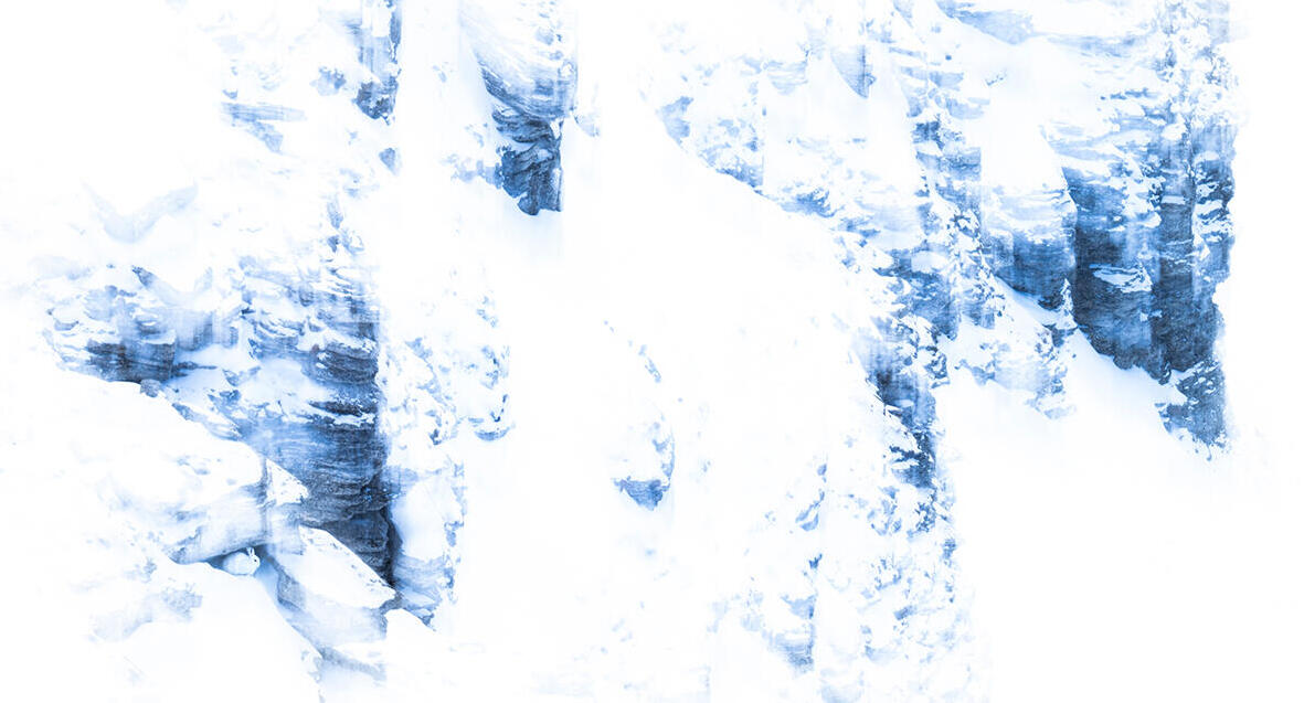 פוטו תחרות צילומי טבע gdt לבן על לבן