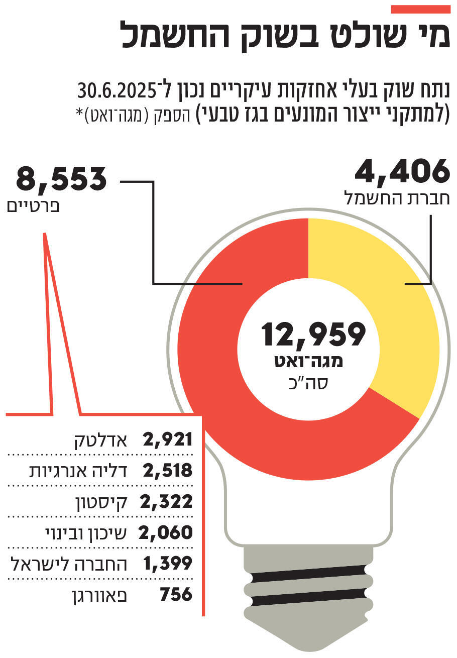 אינפו מי שולט בשוק החשמל