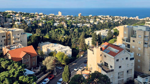 צילום: מור גורדון מהליכות ג'יין בחיפה ועד פסטיבל האוכל הגדול בארץ: המלצות לסוף השבוע