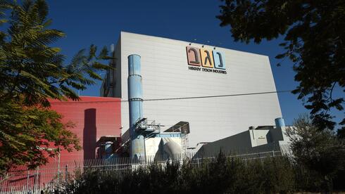 14 שנה אחרי שנמחקה מהמסחר: נגב קרמיקה מנסה שוב את מזלה בבורסת ת"א