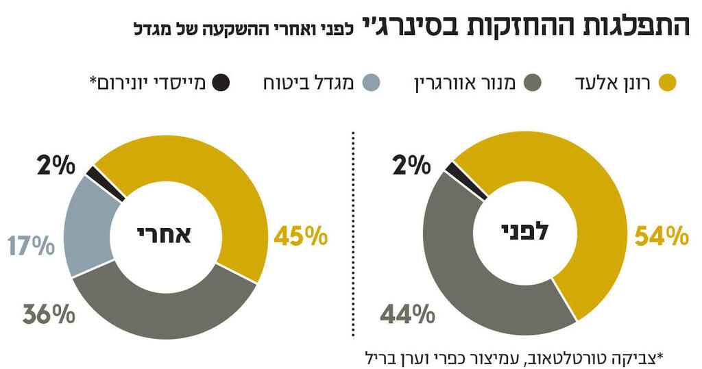 אינפו התפלגות ההחזקות בסינרג'י