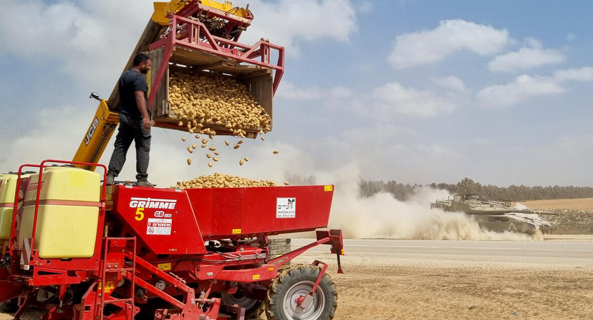 תחרות צילומים חקלאות וטבע של ישראל זורעים בין הזחלים