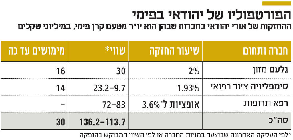 אינפו הפורטפוליו של יהודאי בפימי