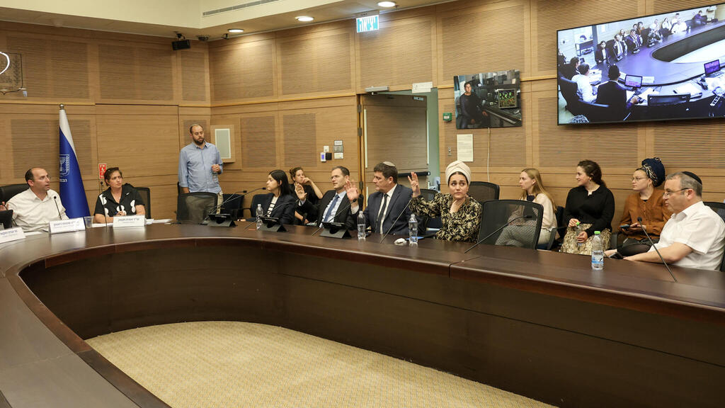 הדיון בוועדת החוקה, היום (צילום: דני שם טוב, דוברות הכנסת) הדיון בוועדת החוקה