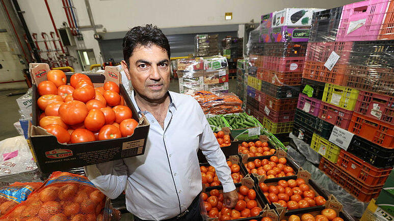 אילן שבע, מנכ"ל ביכורי השדה