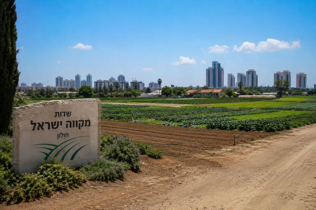 ניצחון לתושבי שכונת אגרובנק בחולון (צילום: יח"צ) ניצחון לתושבי שכונת אגרובנק בחולון