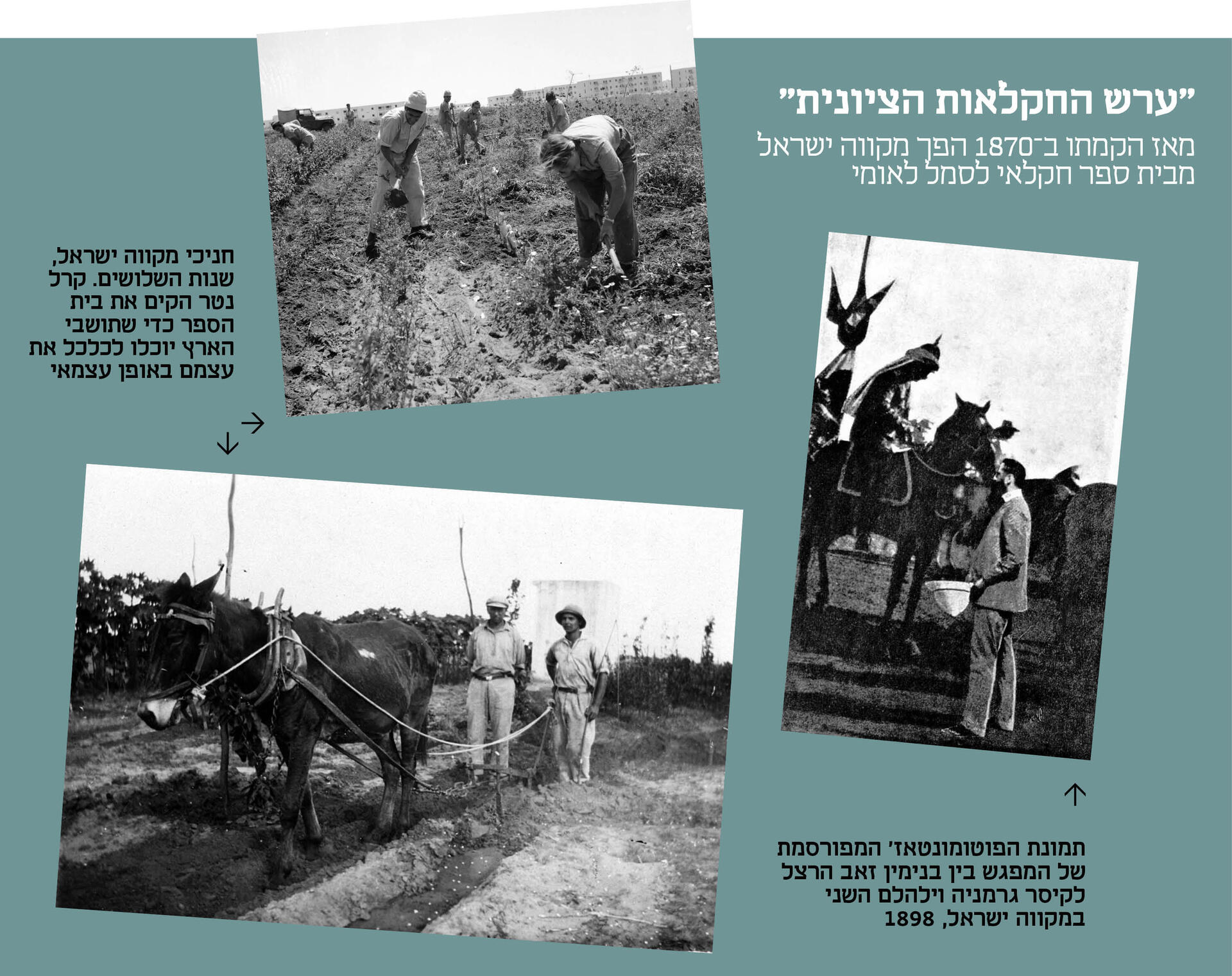 אינפו מוסף מקווה ישראל 04.06.26