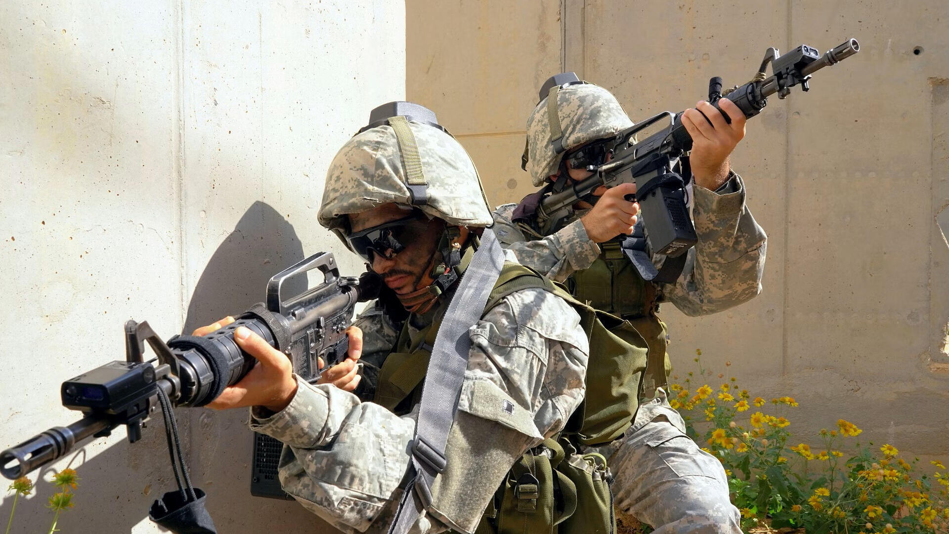 מוצרי חברת בגירה