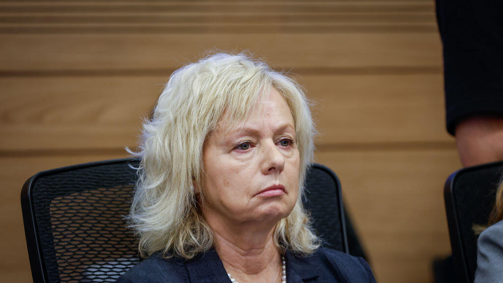 היועמ"שית גלי בהרב מיארה בדיון בוועדת הכנסת