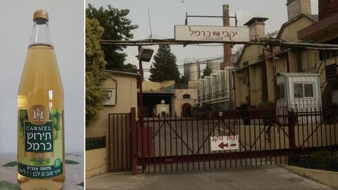 רגע לפני החגים: מגבלות מונופול יוטלו על יקבי כרמל