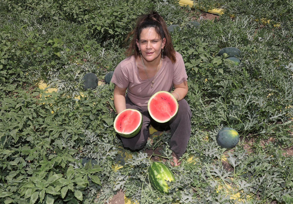 פנאי מיכל חביביאן ובעלה בועז שדה האבטיחים בנחם ליד בית שמש
