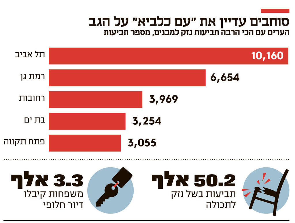 אינפו סוחבים עדיין את "עם כלביא" על הגב