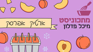 מתכוניסט ארטיק אפרסק פנאי
