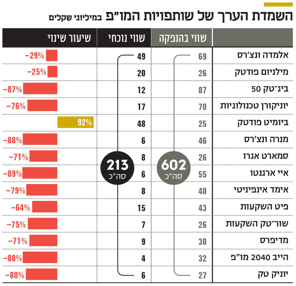אינפו השמדת הערך של שותפויות המו"פ