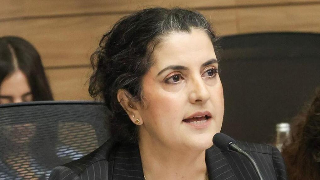 יועמ"שית הכנסת, עו"ד שגית אפיק