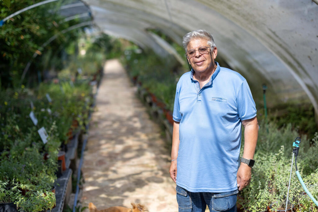 ציון סימן טוב. "הדריכה על משטח יבלית רק הופכת אותו לצפוף, יפה ונעים יותר"