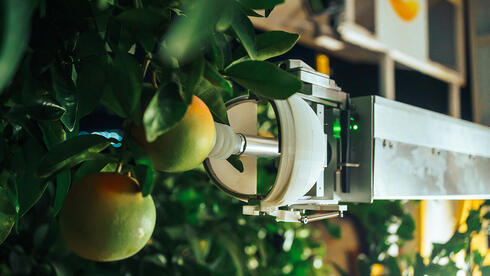 Israeli agtech startup Nanovel wins €2.5 million EU grant for AI harvesting robots