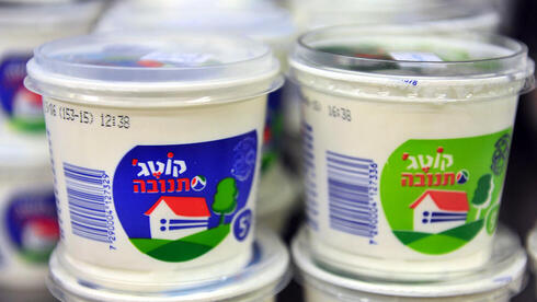 סיפור של 15 שנה: האמת מאחורי המקררים הריקים של הקוטג׳, סיפור של 15 שנה: האמת מאחורי המקררים הריקים של הקוטג׳