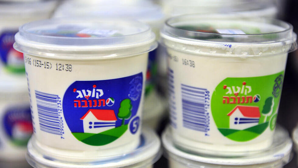  תנובה קוטג' קוטג גבינה