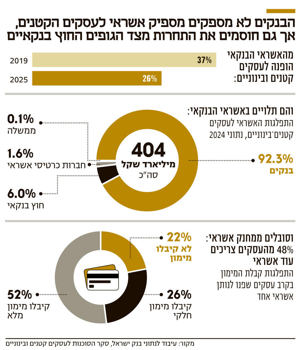 הבנקים לא מספקים מספיק אשראי לעסקים הקטנים אינפו הבנקים לא מספקים מספיק אשראי לעסקים הקטנים