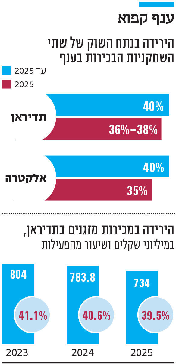 אינפו ענף קפוא