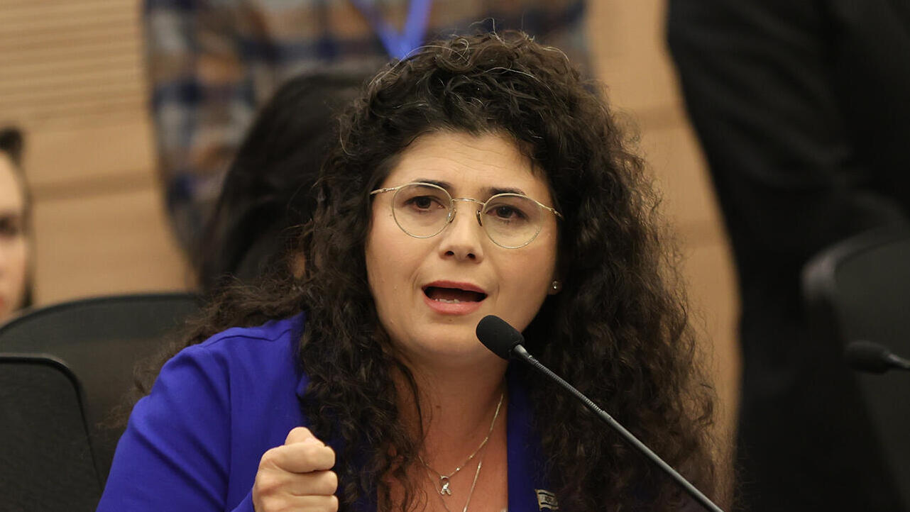 שרן השכל חברת כנסת