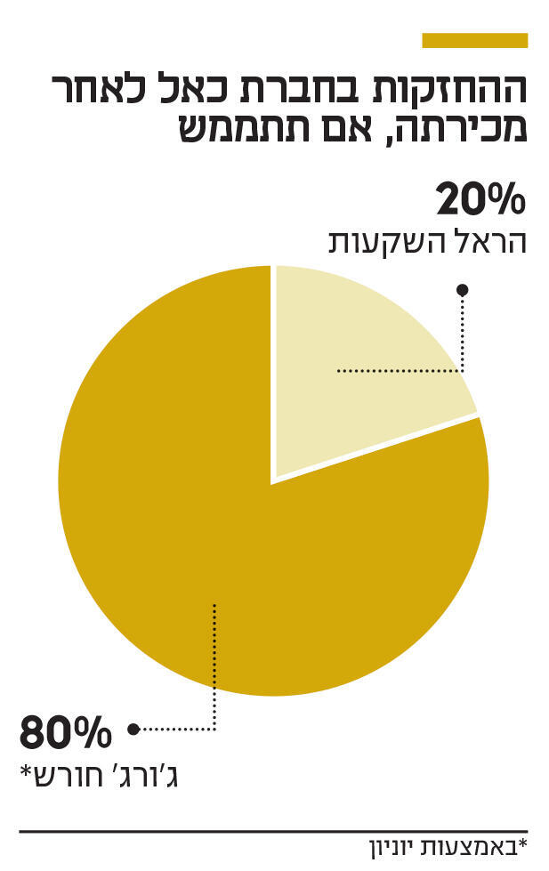 אינפו ההחזקות בחברת כאל