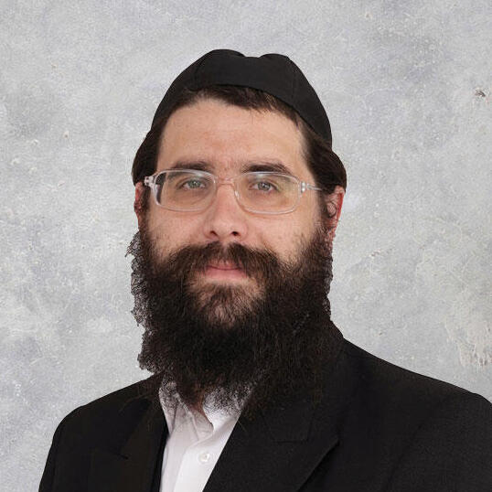 נפתלי וינגוט (צילום: יח"צ) נפתלי וינגוט