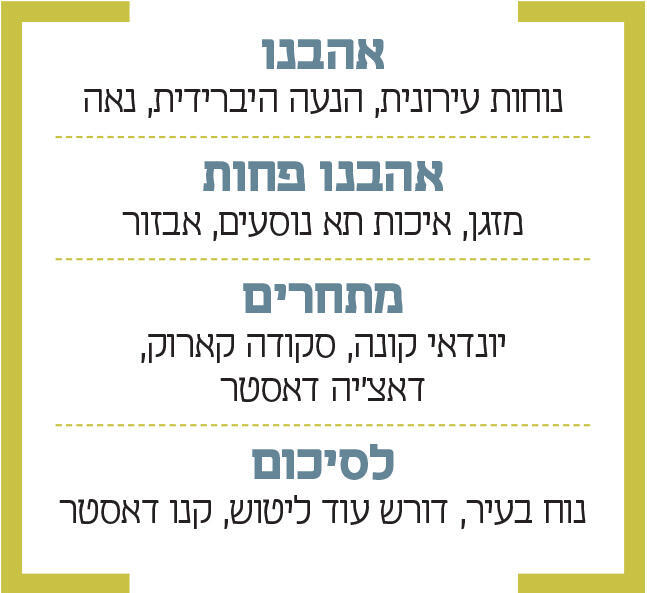 אינפו רנו סימביוז טכנו SR