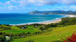 גרייט בארייר איילנד ניו זילנד Great Barrier Island
