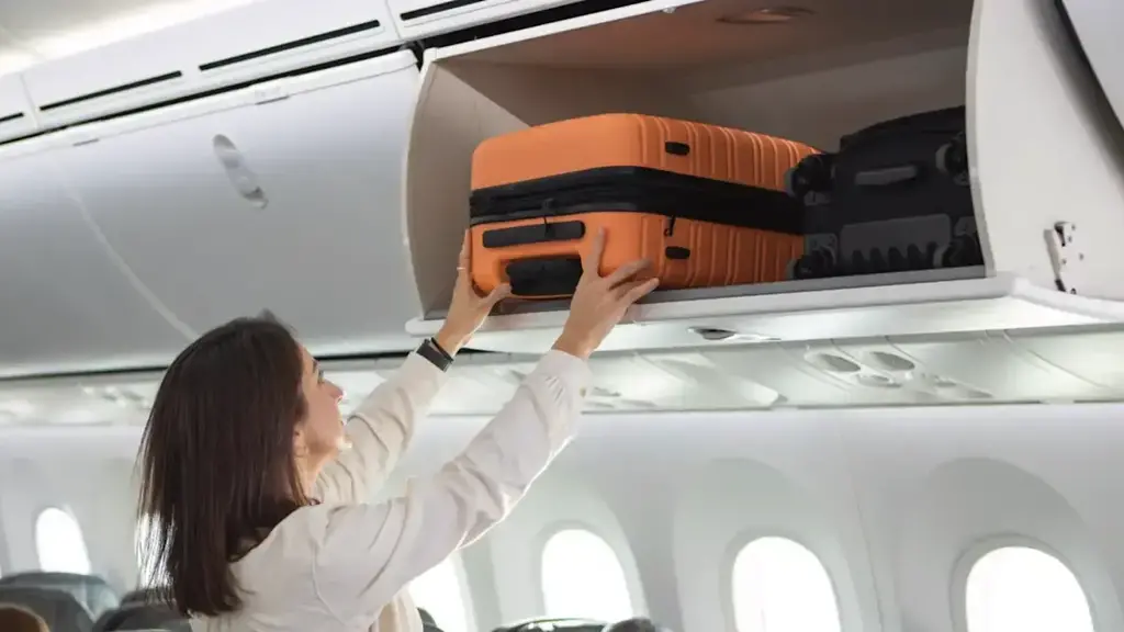 תאים לאיחסון תיקים במטוס ג'טסטאר (צילום: Jetstar) תאים לאיחסון תיקים במטוס ג'טסטאר Jetstar