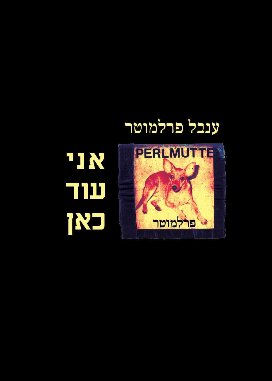 הספר אני עוד כאן של ענבל פרלמוטר עטיפת הספר אני עוד כאן של ענבל פרלמוטר פנאי