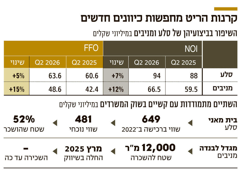 קרנות הריט מחפשות כיוונים חדשים (צילום: קובי קואנקס) אינפו קרנות הריט מחפשות כיוונים חדשים