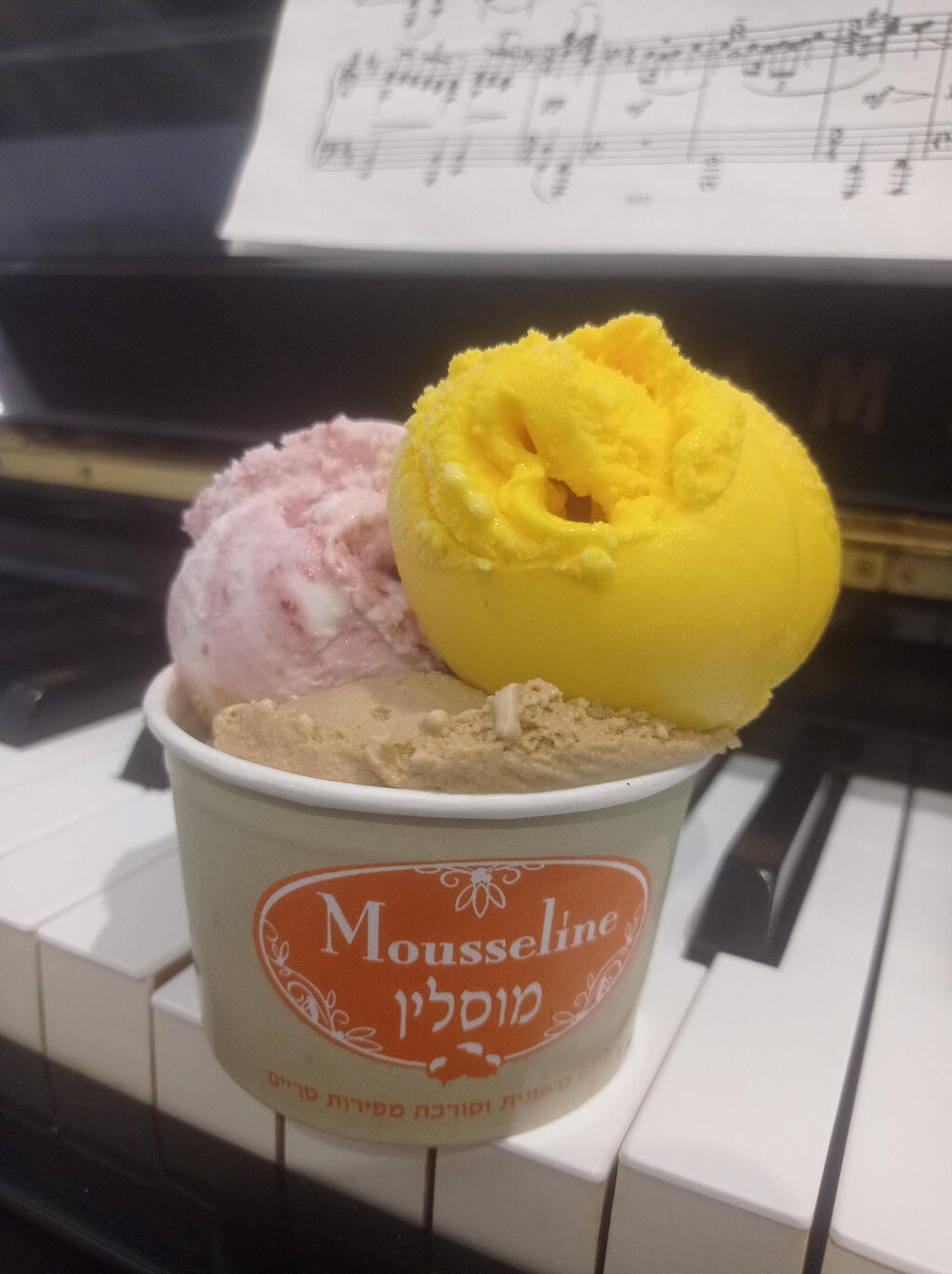 גלידה מוסלין, ירושלים (צילום: אורית ורדי) גלידה מוסלין ירושלים Mousseline Jerusalem