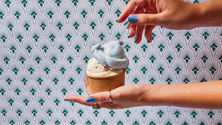 גלידות שטפן אוסטריאן בייקרי Austrian Bakery Artisanal Gelato 