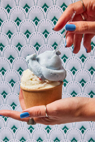 גלידות שטפן אוסטריאן בייקרי Austrian Bakery Artisanal Gelato 