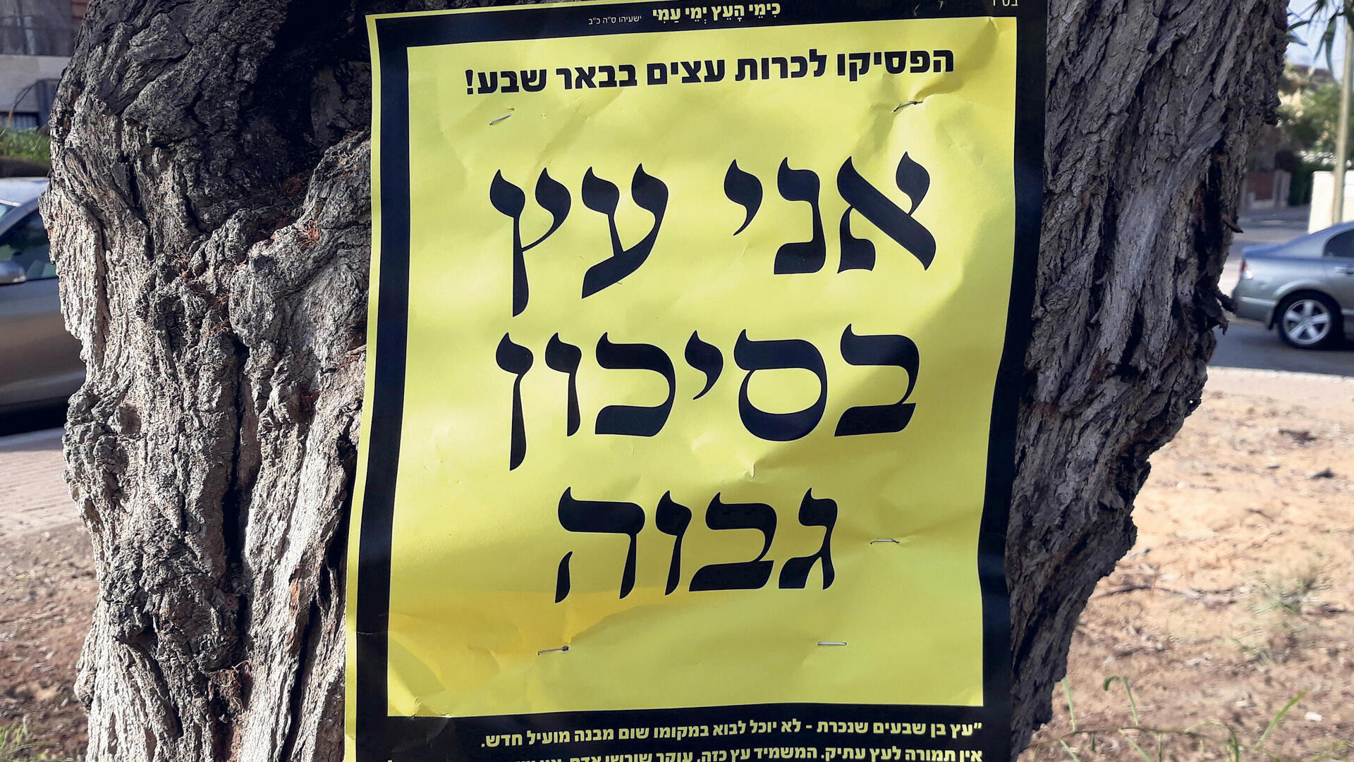 מודעה אני עץ בסיכון גבוה