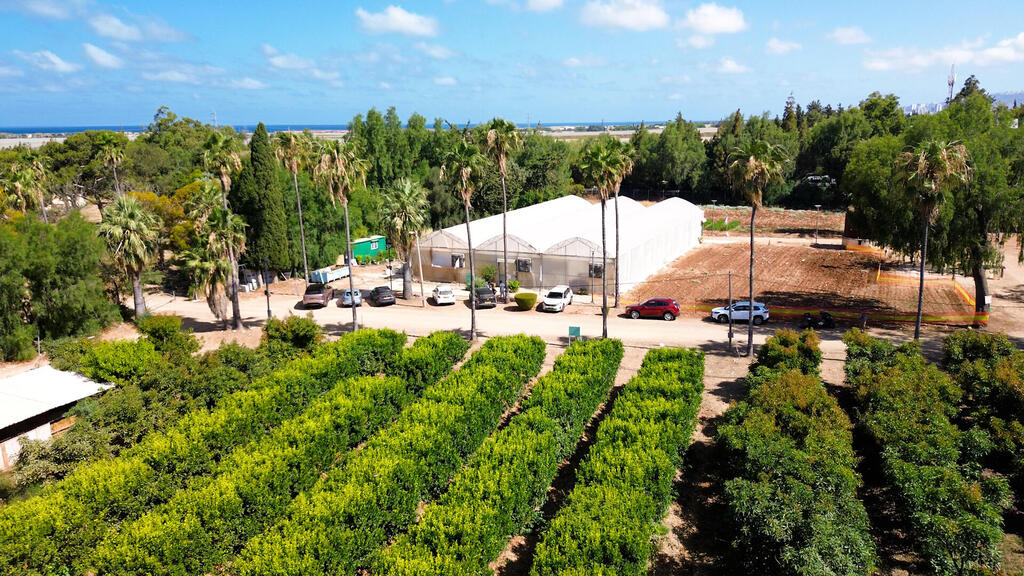הצצה לחקלאות העתיד בחוות אהרונסון (צילום: כלכליסט) הצצה לחקלאות העתיד בחוות אהרונסון