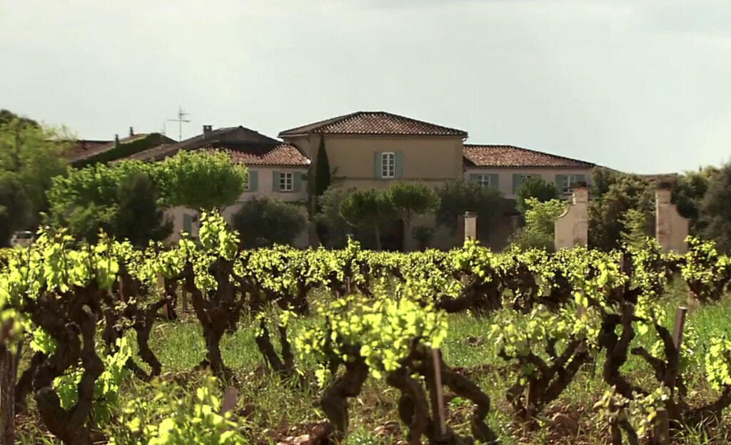 כרם Luberon בעמק הרון, צרפת, שמענביו מופק היין לה ויה פרם. אם היין היה כשר, היה נוסף לו עוד 10% למחיר (צילום: Famille Perrin) כרם Luberon בעמק הרון, צרפת מוסף