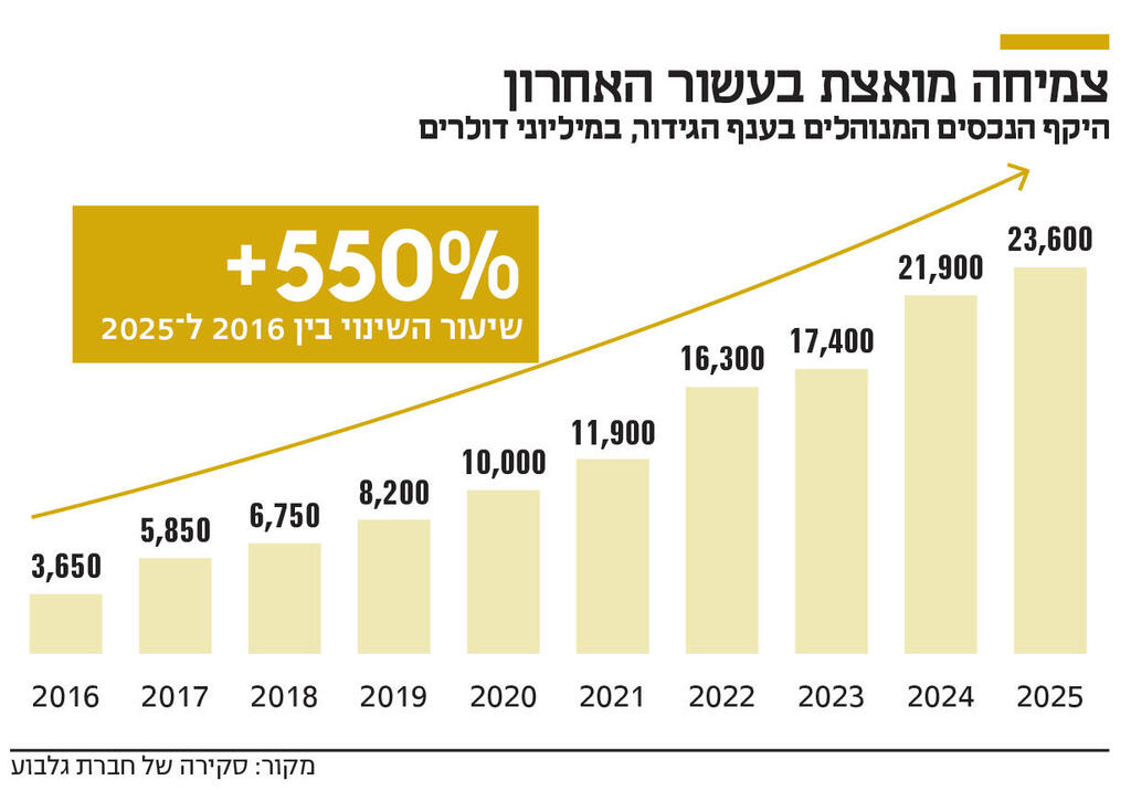 אינפו צמיחה מואצת