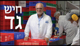 הפניית מוסף 27.08.26